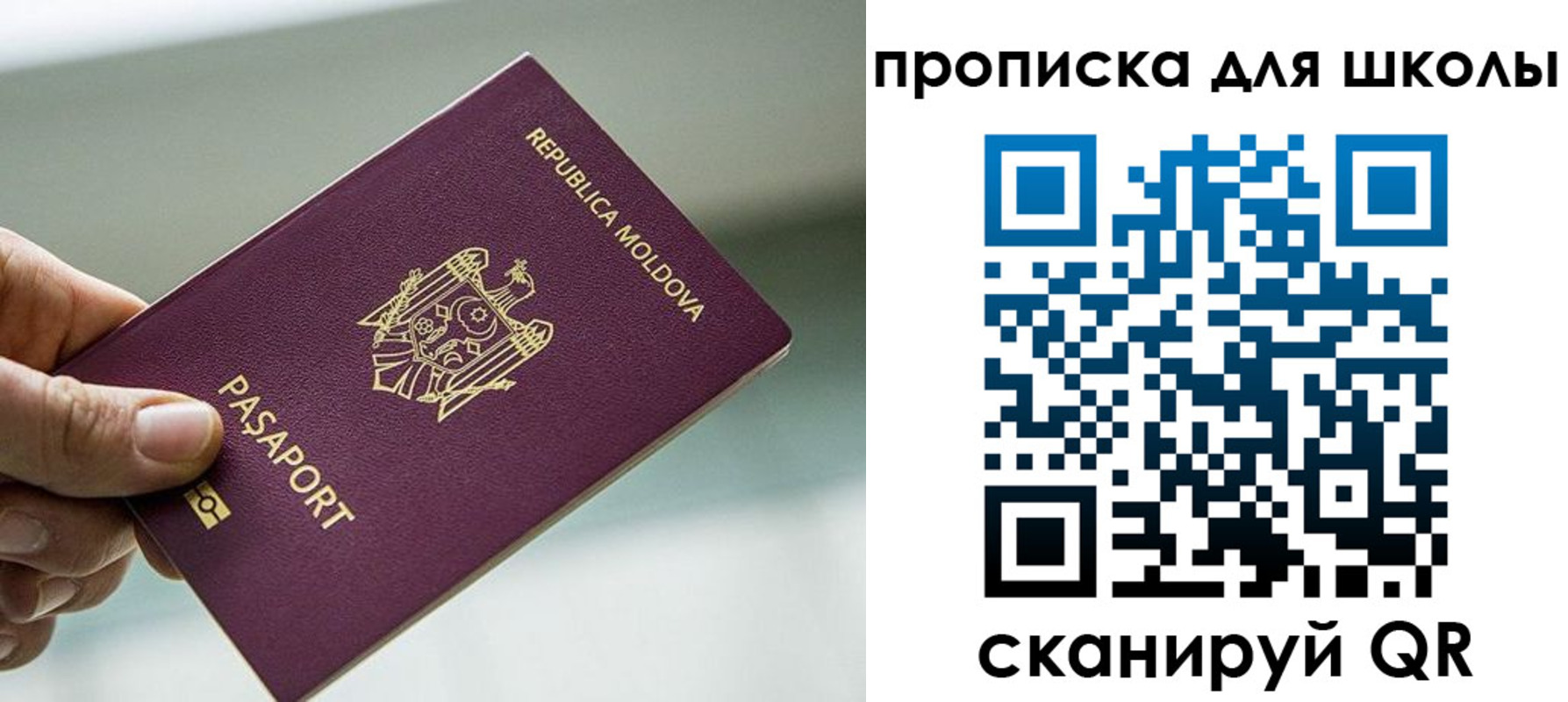 прописка в квартире в Владивостоке